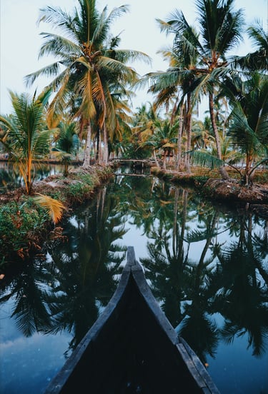 Kerala backwaters