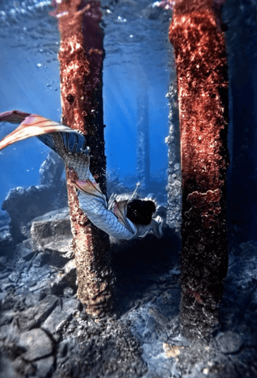 Mermaidaqualina in Busselton Jetty