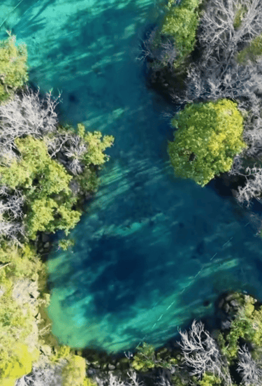 Three Sisters Springs from above