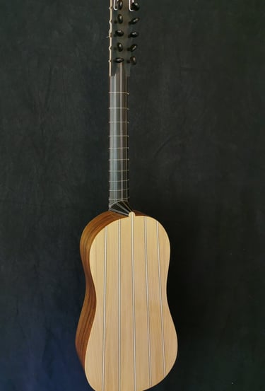 vihuela back