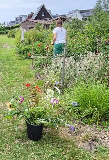 Een emmer met bloemen wordt geplukt in de bloementuin