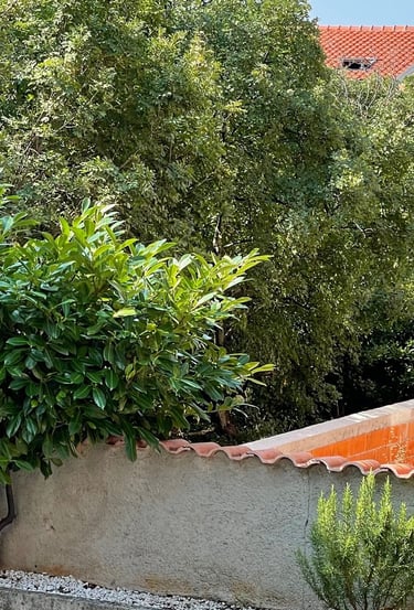 Villa Nordica - Garden View