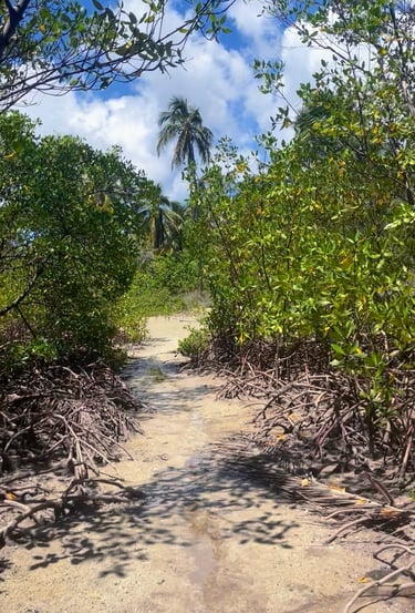 Trilhas, Ilha de Boipeba Praia de Castelhanos Refúgio do Sagrado. Eventos e hospedagem