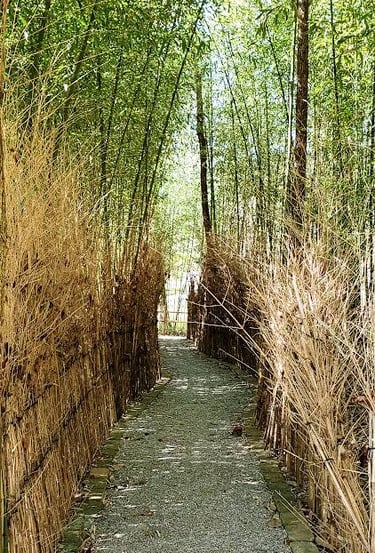 Huntsville, AL - A tall reed tunnel at the Japanese Gardens in Monte Sano Park