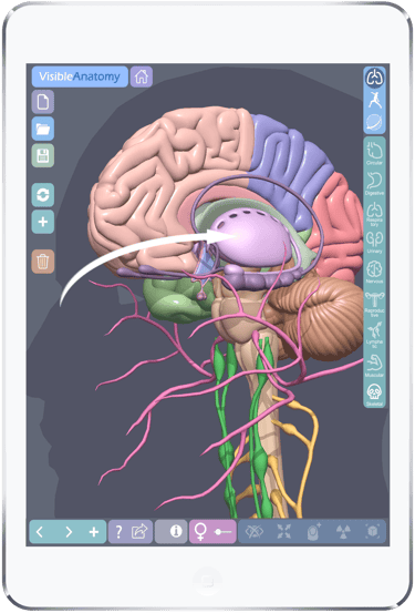 Ipad Medical App