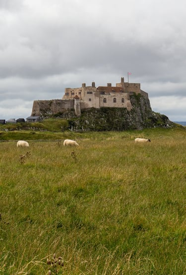 Castle View