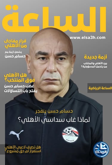 حسام حسن
