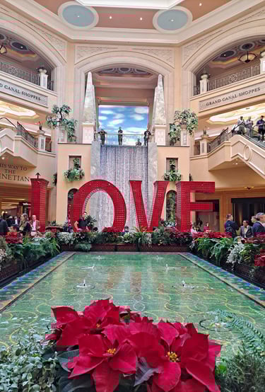 Finn's Footprints Las Vegas Nevada Budget Travel Review