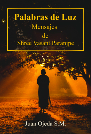 Libro Palabras de Luz Shree Vasant Juan Ojeda S.M.a