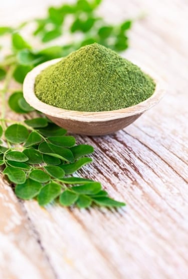 Moringa naturel riche en fer et vitamines — Bienfaits Sunnah Maroc