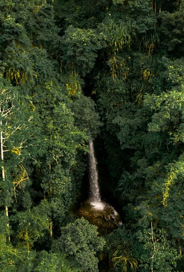 Dhami Falls, Bich Kagay