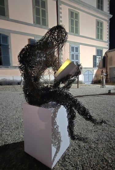 la lectrice de Wilfrid Bricourt recyclage fil de fer de vignes