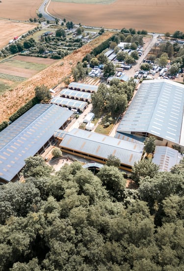 a large building with a large amount of trees