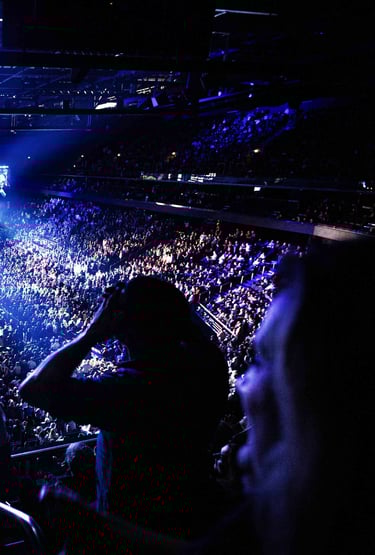 Renginių fotografavimas, įmonės renginių fotografija, konferencijų, įmonės vakarėlių fotografija Vilniuje