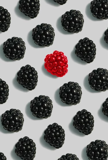Generación de Leads b2b