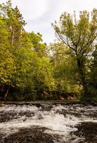 a river in Michigan, waterfall