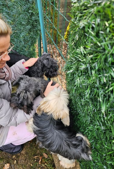 Les Diamants Noirs jardinent