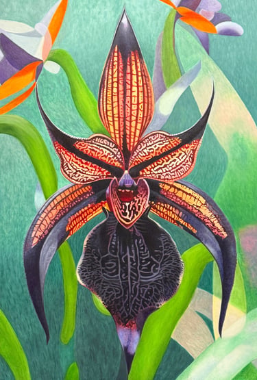Christine Knize, Black Orchid, South Florida Contemporary Realism