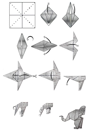 Istruzioni per creare una elefante in origami con la carta