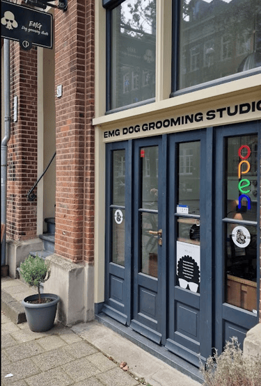 Dog Grooming Studio Amsterdam East | Indische Buurt