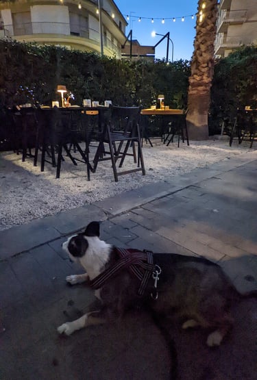 Affitta Dammuso del 1910 a Ragusa Centro Storico