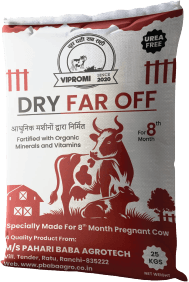 Maintenance feed for dry cows in Indian cattle field - VIPROMI Dry Far Off