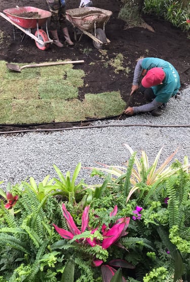 instalacion de jardines