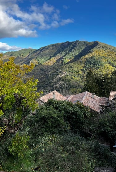 Vue sur une crête de montagne en Ardèche