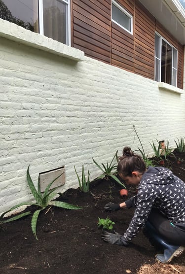 siembra y mantenimiento de jardines