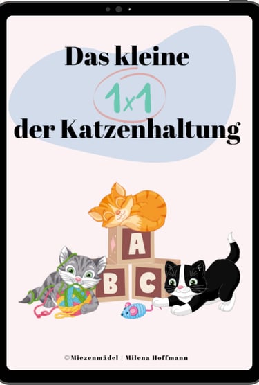 ein Tablet mit dem Cover eines E-Books, auf dem Katzen am spielen sind