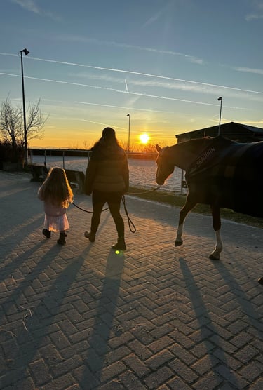 Ponytante mit ihrem Pferd im Sonnenuntergang