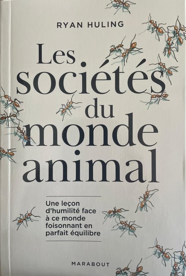 Publié en juin 2026 chez Marabout !