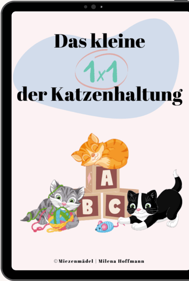 ein Tablet mit dem Cover eines E-Books, auf dem Katzen am spielen sind