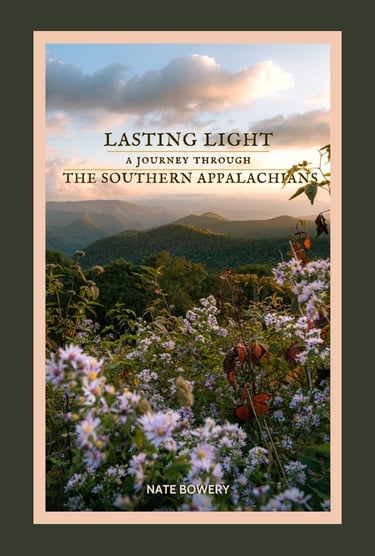 Book cover of Lasting Light featuring wildflowers overlooking the Southern Appalachian Mountains at sunset
