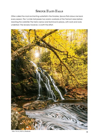Scenic Spruce Flats Falls waterfall in Great Smoky Mountains surrounded by yellow autumn foliage.