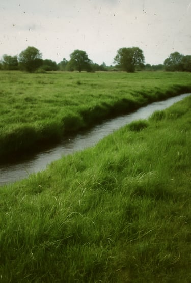 Journée mondiale des sols