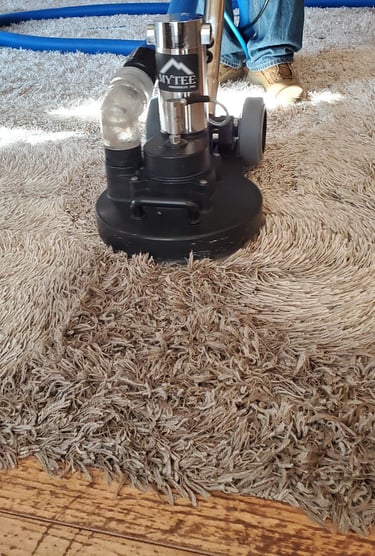 Deep Organic Carpet Cleaning With King Organic Clean