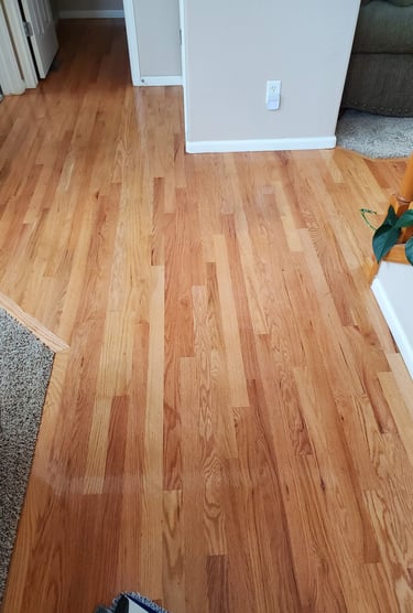 Beautiful Wood Floor Cleaning w/ King Organic Clean