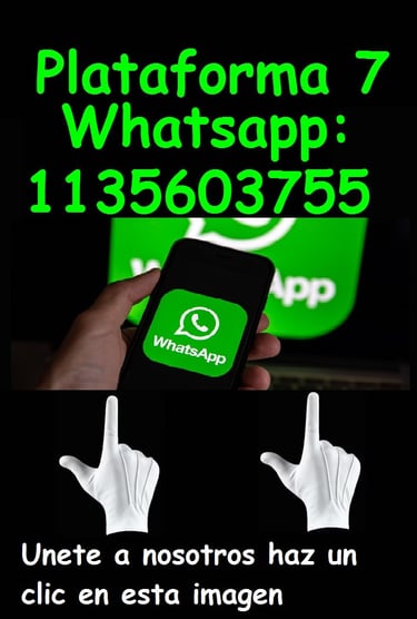 whatsapp de plataforma 7
