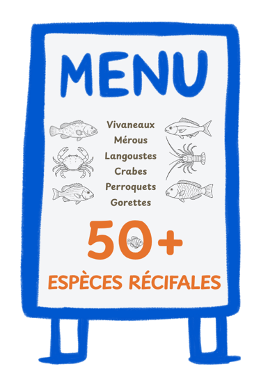 Le Poisson-Lion se nourrit de plus de 50 espèces de poissons juvéniles et invertébrés