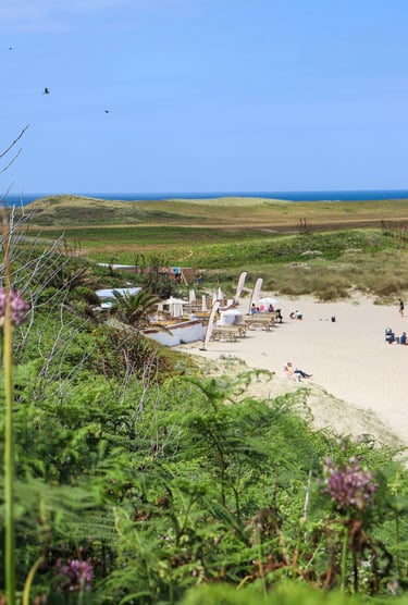 Shell Beach Herm