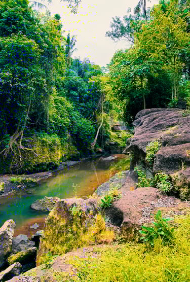 Bali Hidden Canyon