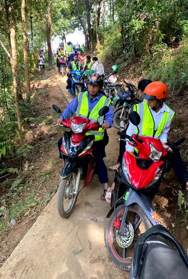 motorbike traffic to bamboo forest