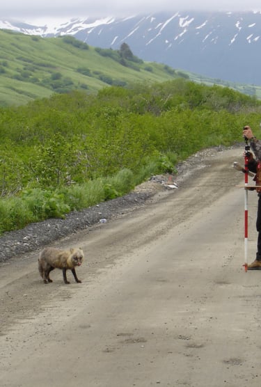 property borders, land surveying, northwest