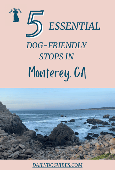dog friendly monterey ca