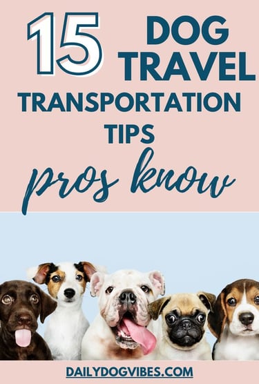 dog travel tips