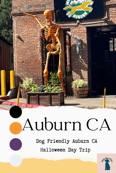 dog friendly auburn ca
