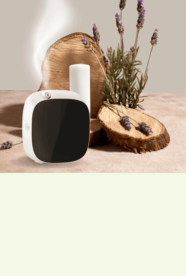 Transforma tus espacios con nuestros sistemas de aromatización