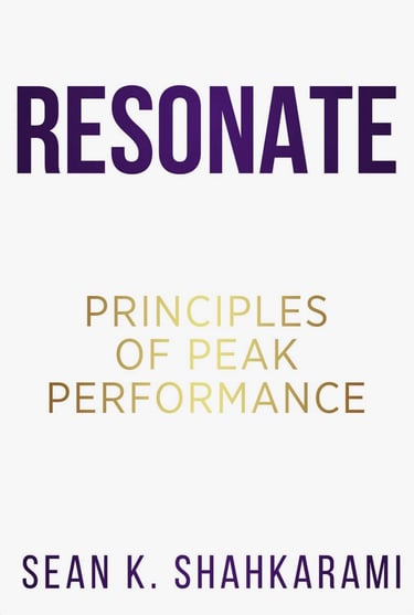 Sean K. Shahkarami consulting and strategy development