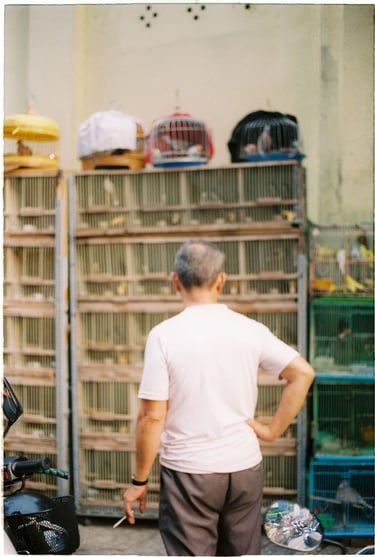 Man watch birds on the market in Saigon China town